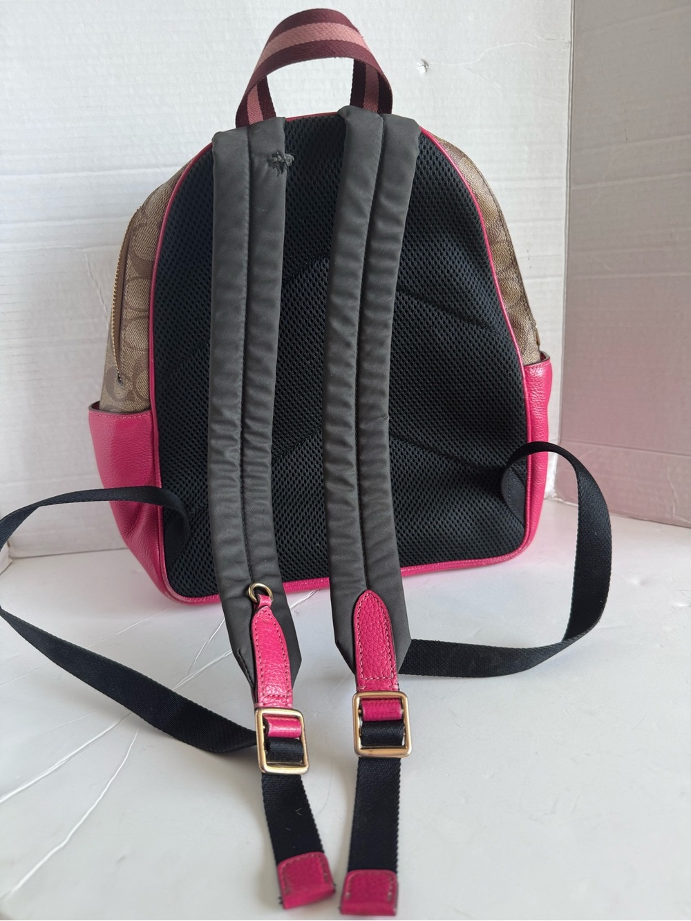 Court Backpack In Signature Canvas c8522 - Picture 2 of 14